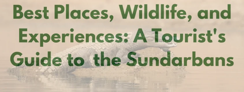 Sundarban Tourism